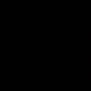 Meet your Posher, Andreina